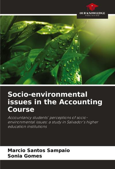 Socio-environmental issues in the Accounting Course