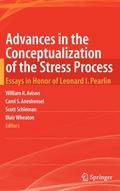 Advances in the Conceptualization of the Stress Process