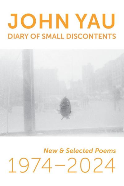 Diary of Small Discontents