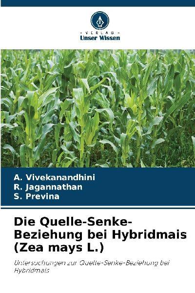 Die Quelle-Senke-Beziehung bei Hybridmais (Zea mays L.)