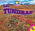 Las tundras