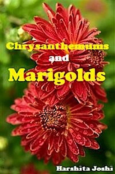 Chrysanthemums and Marigolds