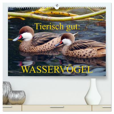 Tierisch gut: Wasservögel (hochwertiger Premium Wandkalender 2024 DIN A2 quer), Kunstdruck in Hochglanz