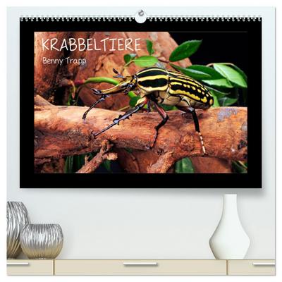 Krabbeltiere (hochwertiger Premium Wandkalender 2024 DIN A2 quer), Kunstdruck in Hochglanz