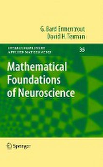 Mathematical Foundations of Neuroscience