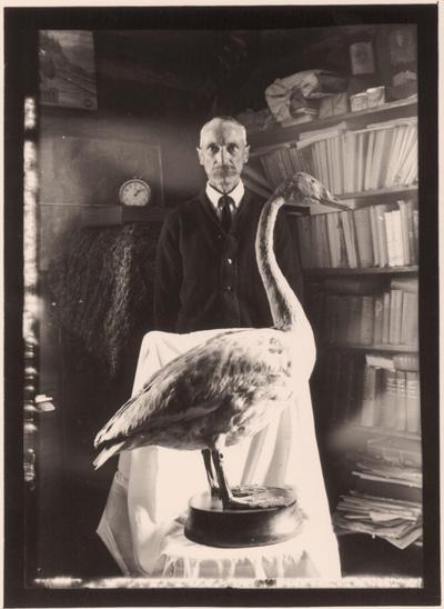 Can You Relax in My House