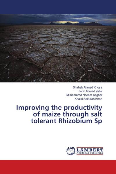 Improving the productivity of maize through salt tolerant Rhizobium Sp