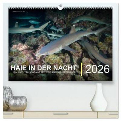 Haie in der Nacht (hochwertiger Premium Wandkalender 2026 DIN A2 quer), Kunstdruck in Hochglanz
