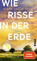 Wie Risse in der Erde: Roman | »Ein Buch, das man vielleicht nie in seinem Leben wieder vergisst.« Deutschlandfunk Kultur