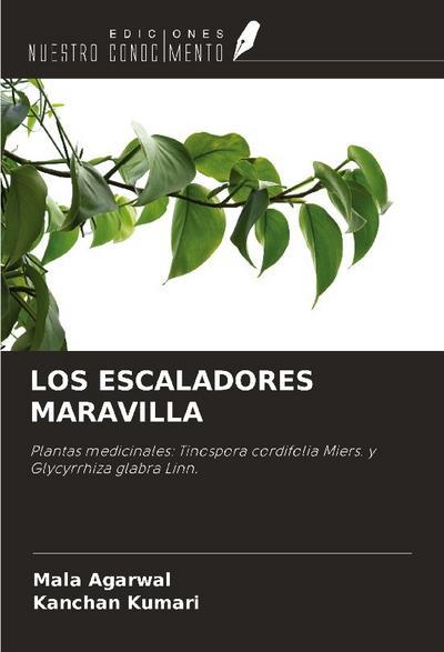 LOS ESCALADORES MARAVILLA