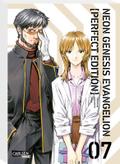 Neon Genesis Evangelion - Perfect Edition 7