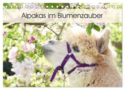 Alpakas im Blumenzauber (Tischkalender 2024 DIN A5 quer), CALVENDO Monatskalender