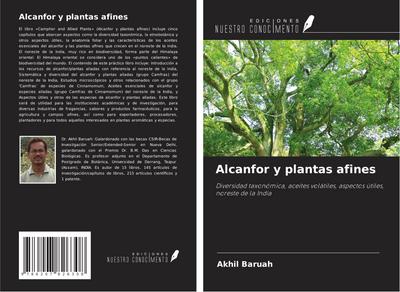 Alcanfor y plantas afines