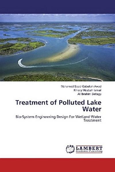Treatment of Polluted Lake Water