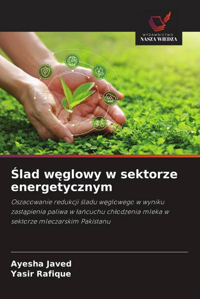 ¿lad w¿glowy w sektorze energetycznym