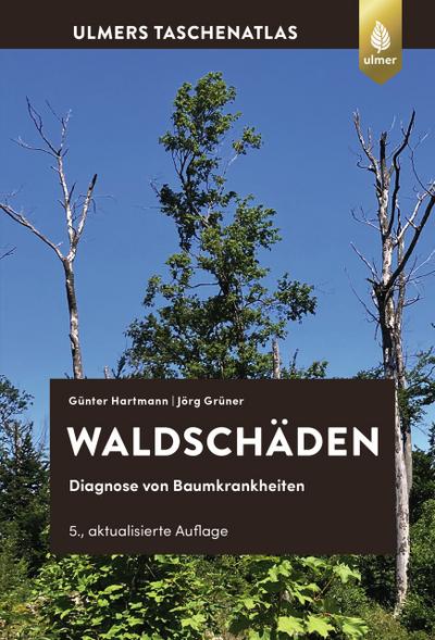 Waldschäden