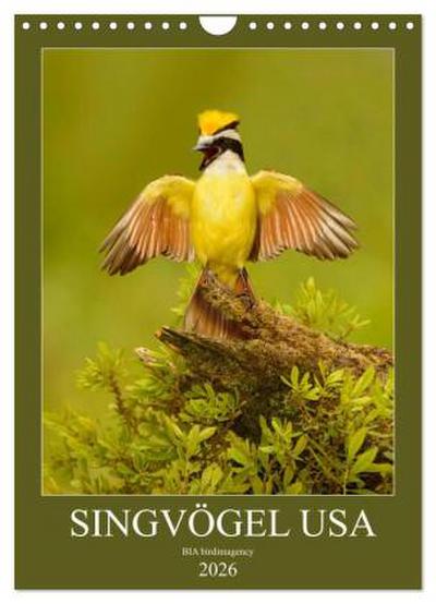 Singvögel USA (Wandkalender 2026 DIN A4 hoch), CALVENDO Monatskalender