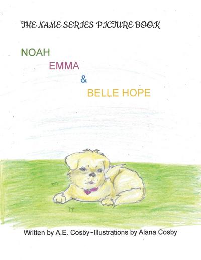 The Name Series Picture Book