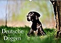 Deutsche Doggen / Geburtstagskalender (Wandkalende