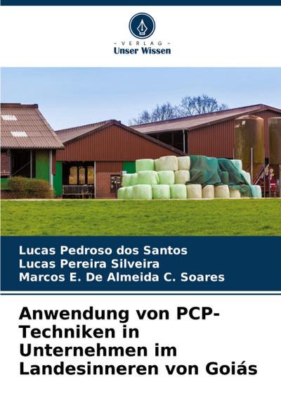 Anwendung von PCP-Techniken in Unternehmen im Landesinneren von Goiás