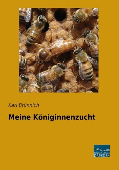 Meine Königinnenzucht