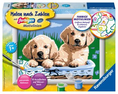 Malen nach Zahlen - Jeder kann malen (Mal-Sets), Bildgröße: 8,5 x 12 cm Ravensburger Malen nach Zahlen 27839 - Süße Hundewelpen - Kinder ab 7 Jahren