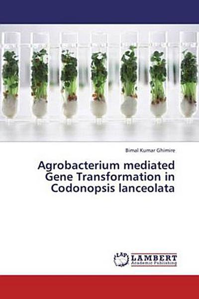 Agrobacterium mediated Gene Transformation in Codonopsis lanceolata