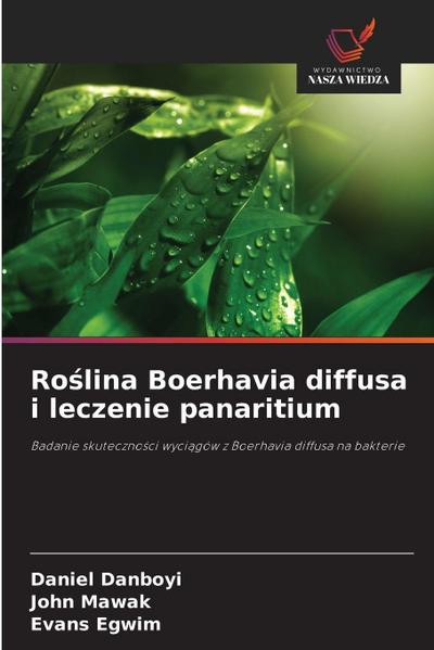 Ro¿lina Boerhavia diffusa i leczenie panaritium