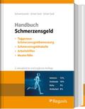 Handbuch Schmerzensgeld