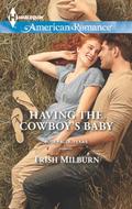 Having The Cowboy’s Baby
