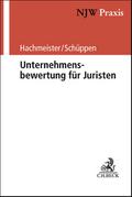 Unternehmensbewertung für Juristen
