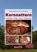 Kornnattern