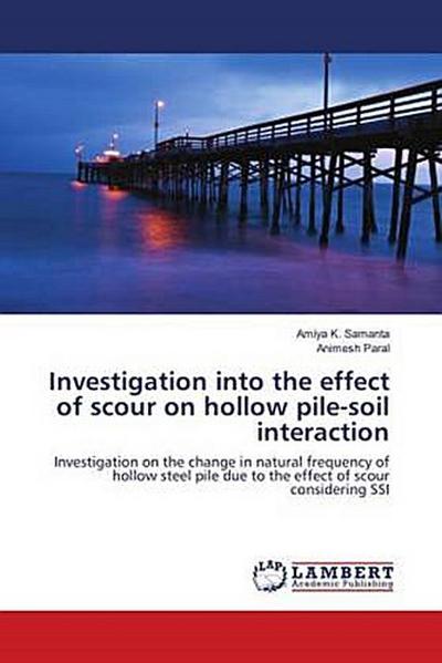Investigation into the effect of scour on hollow pile-soil interaction