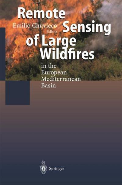 Remote Sensing of Large Wildfires