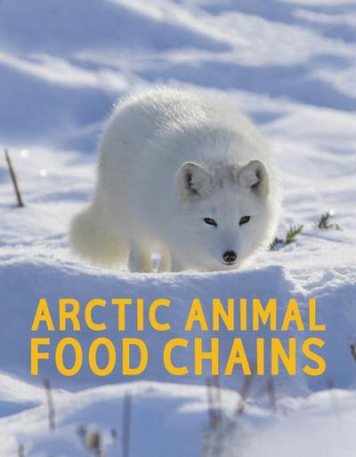Arctic Animal Food Chains