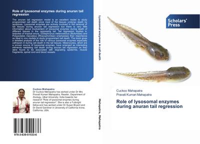 Role of lysosomal enzymes during anuran tail regression