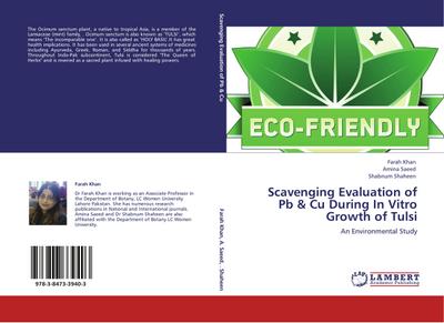 Scavenging Evaluation of Pb & Cu During In Vitro Growth of Tulsi