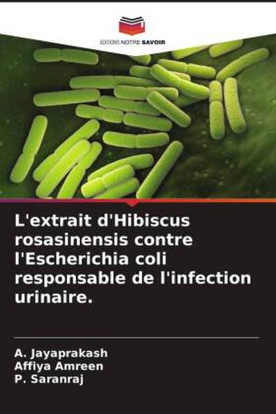 L’extrait d’Hibiscus rosasinensis contre l’Escherichia coli responsable de l’infection urinaire.
