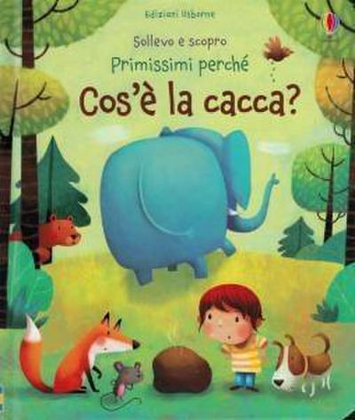 Cos’è la cacca?