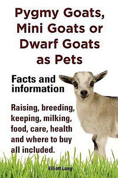 Pygmy Goats as Pets. Pygmy Goats, Mini Goats or Dwarf Goats