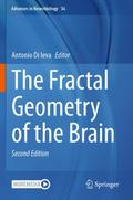 The Fractal Geometry of the Brain
