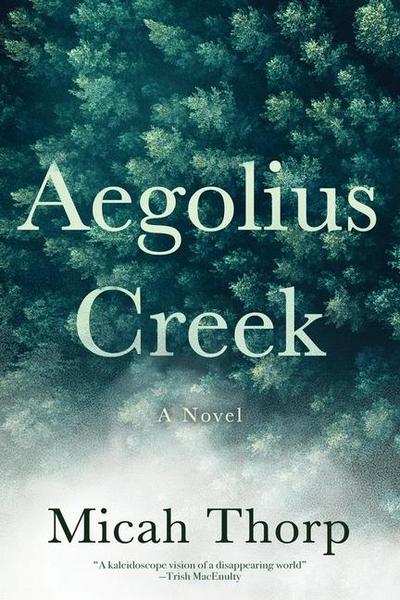 Aegolius Creek