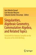 Singularities, Algebraic Geometry, Commutative Alg
