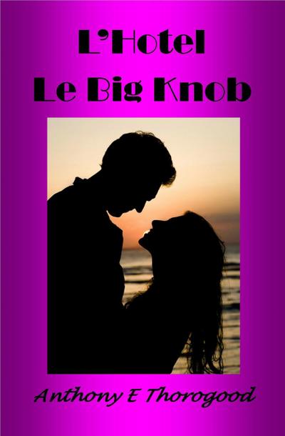 L’Hotel Le Big Knob
