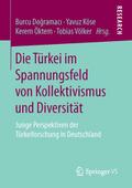 Die Türkei im Spannungsfeld von Kollektivismus und Diversität