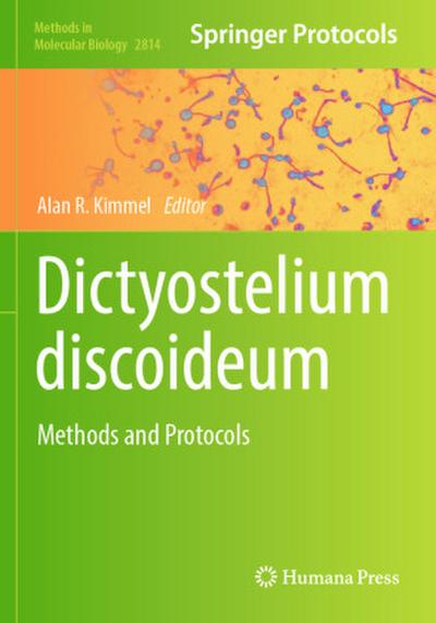 Dictyostelium discoideum