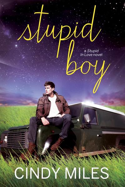 Stupid Boy (New Adult Romance)