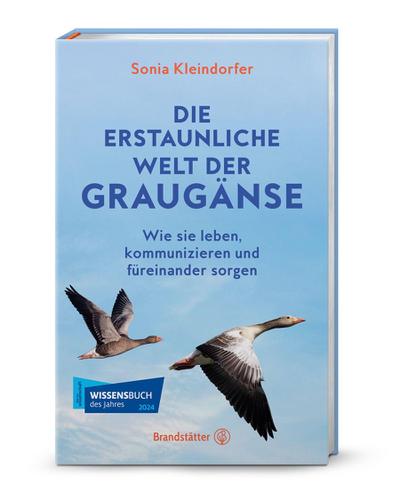 Die erstaunliche Welt der Graugänse