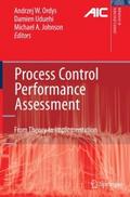 Process Control Performance Assessment