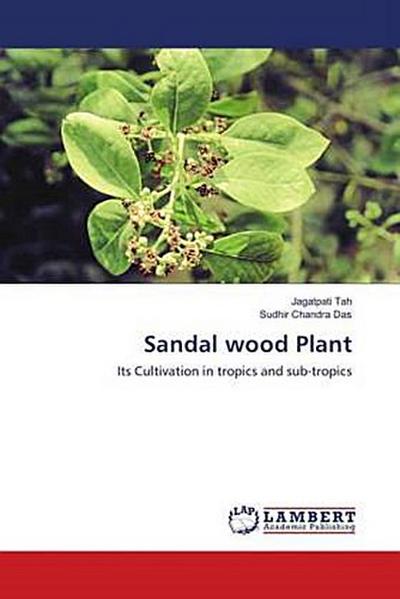 Sandal wood Plant